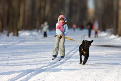 Tipps für den Winterurlaub mit Hund 3
